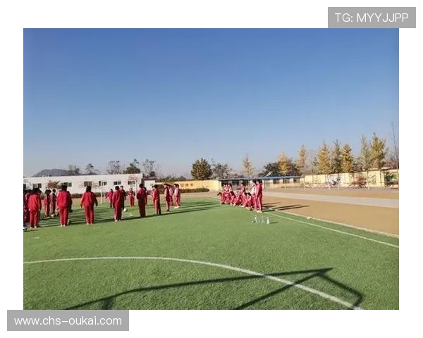 星辉体育九游会：提供专业赛事分析与实时数据支持的优质体育平台